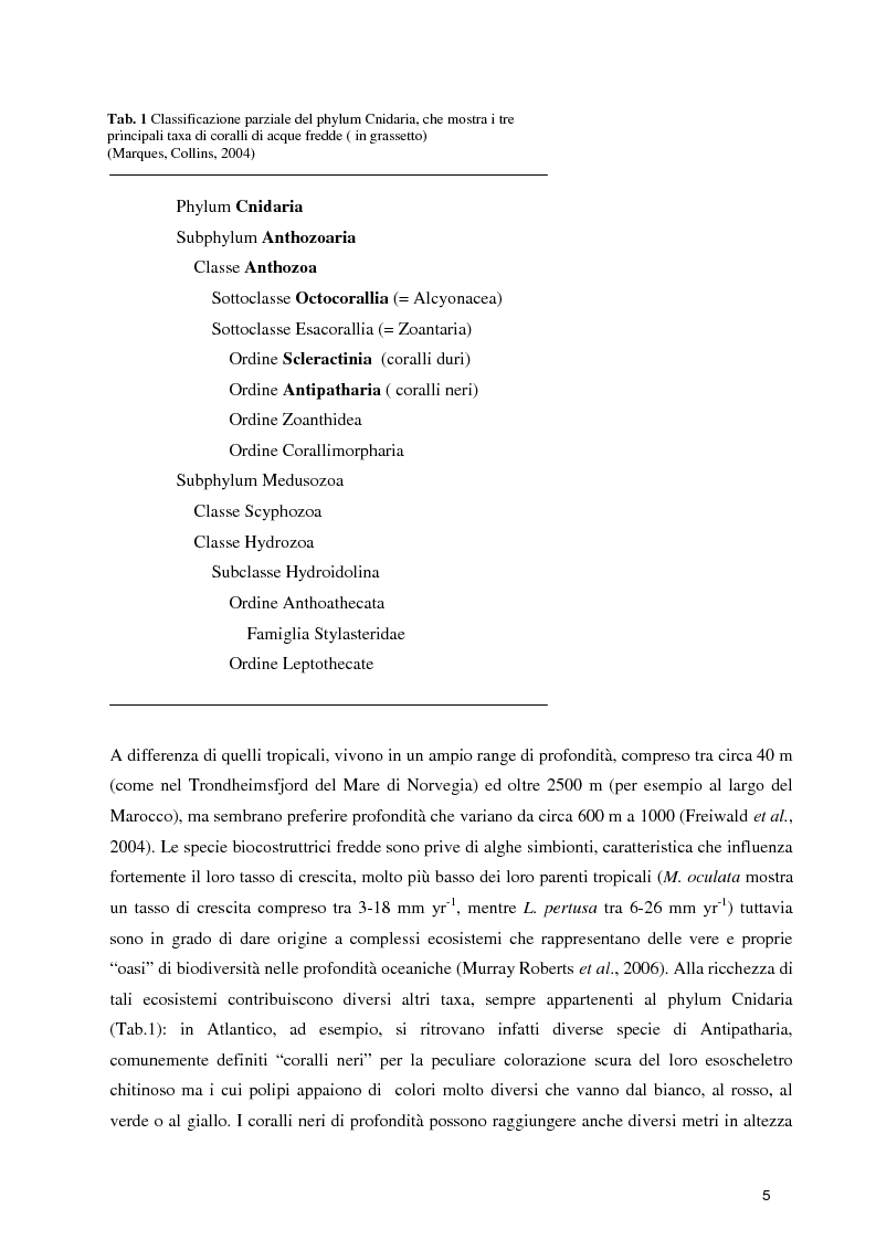 Anteprima della tesi: Habitat Mapping e Visual Census nell'area a coralli profondi di Santa Maria di Leuca (Mar Ionio Settentrionale), Pagina 2