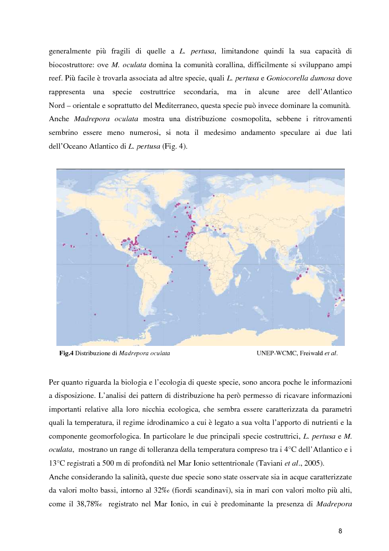 Anteprima della tesi: Habitat Mapping e Visual Census nell'area a coralli profondi di Santa Maria di Leuca (Mar Ionio Settentrionale), Pagina 5