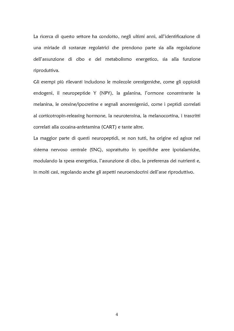 Anteprima della tesi: Il ruolo delle adipochine nel tessuto adiposo, Pagina 2