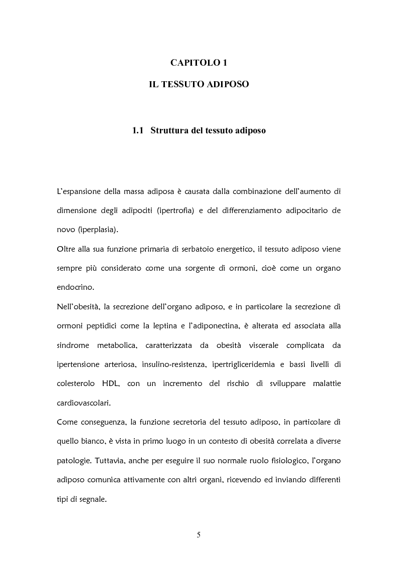 Anteprima della tesi: Il ruolo delle adipochine nel tessuto adiposo, Pagina 3