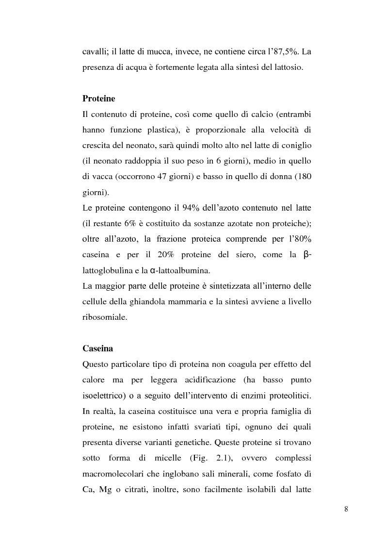 Anteprima della tesi: Sviluppo di un metodo RP-HPLC-IIR con reagente di interazione ionica per la determinazione di anioni di interesse bromatologico nel latte, Pagina 6