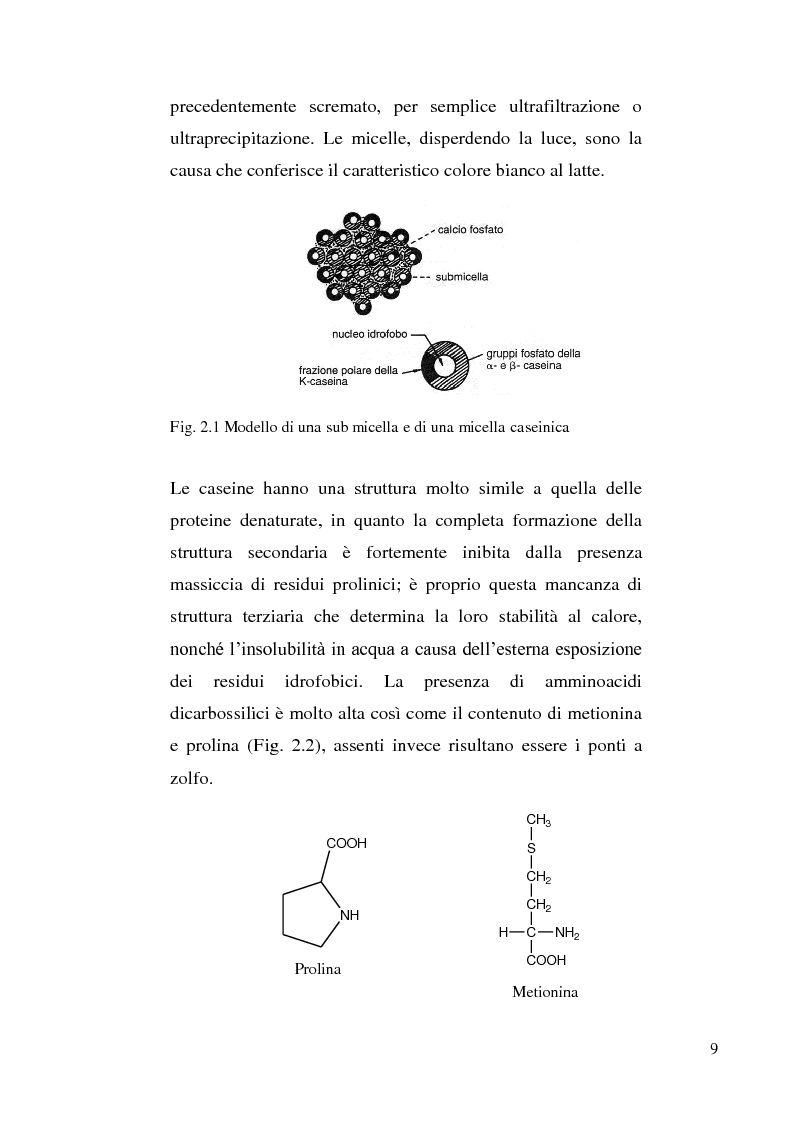 Anteprima della tesi: Sviluppo di un metodo RP-HPLC-IIR con reagente di interazione ionica per la determinazione di anioni di interesse bromatologico nel latte, Pagina 7