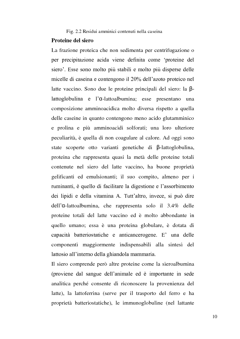 Anteprima della tesi: Sviluppo di un metodo RP-HPLC-IIR con reagente di interazione ionica per la determinazione di anioni di interesse bromatologico nel latte, Pagina 8