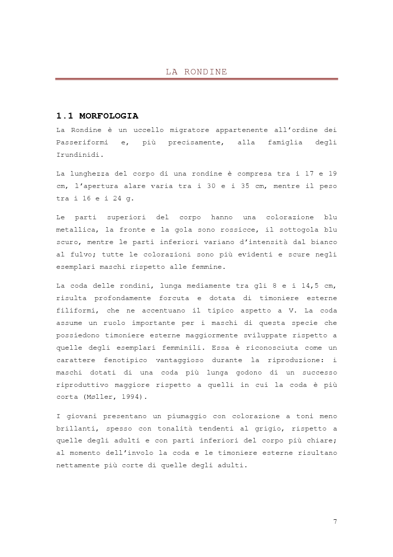 Anteprima della tesi: Effetto della distribuzione delle colture erbacee nell'intorno dei siti di nidificazione della rondine, Hirundo rustica, Pagina 5