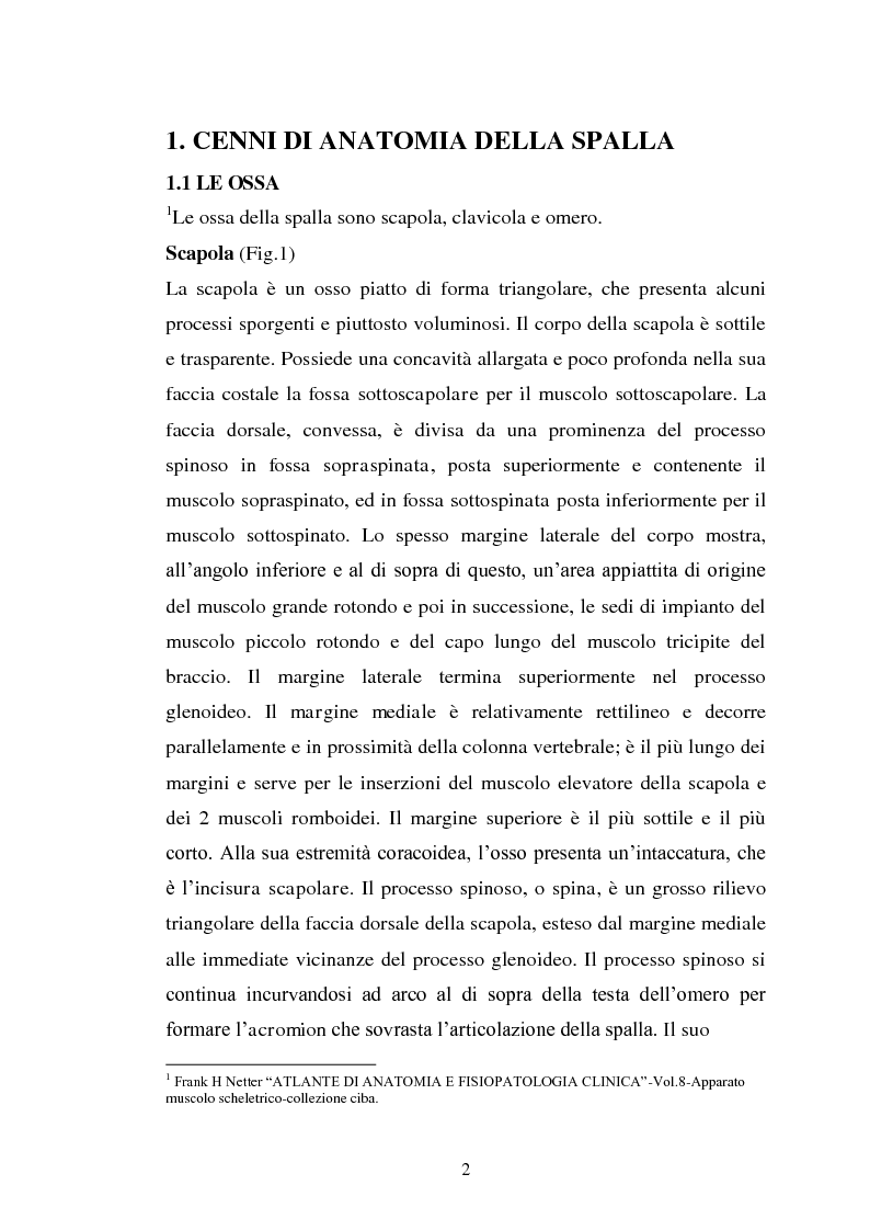 Anteprima della tesi: Trattamento fisico-strumentale e cinesiterapico della sindrome da impingement, Pagina 2