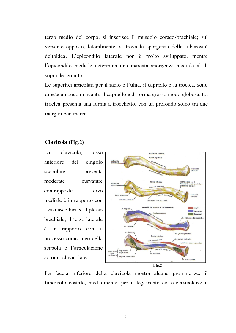 Anteprima della tesi: Trattamento fisico-strumentale e cinesiterapico della sindrome da impingement, Pagina 5