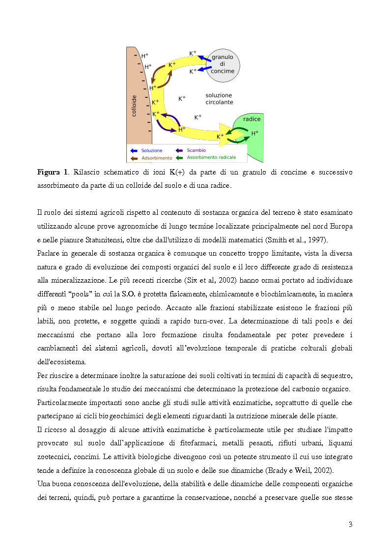 Anteprima della tesi: Analisi di genotossicità di suoli agricoli in colture biologiche e convenzionali di pomodoro, Pagina 3