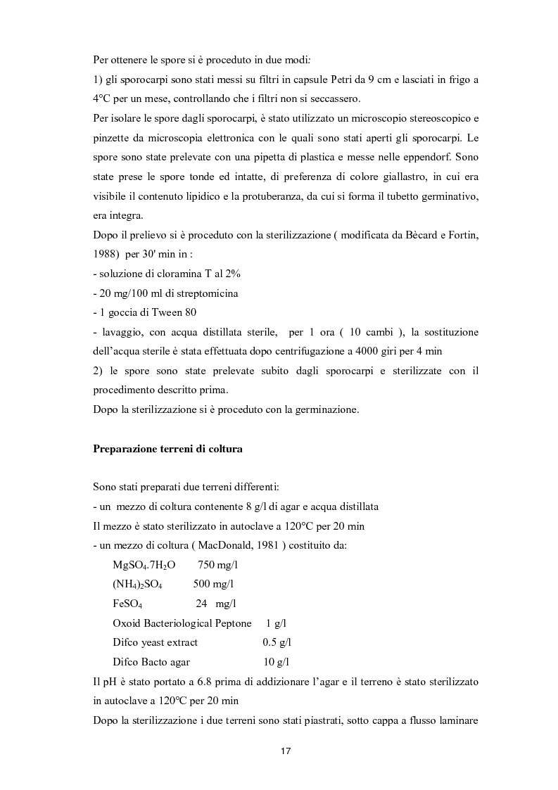 Anteprima della tesi: Indagini sulla micorrizazione, in condizioni axeniche, di Plantule di Lycopersicon Esculentum con Glomus Mosseae, Pagina 2