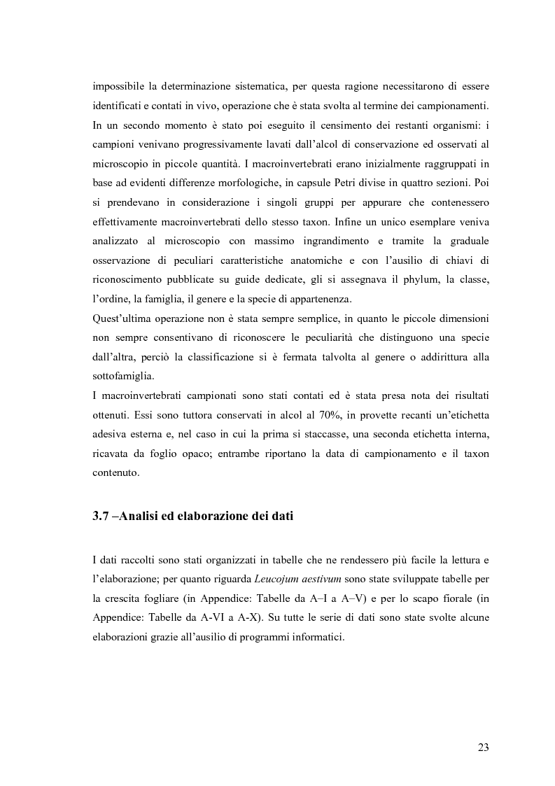 Estratto dalla tesi: Dinamica di accrescimento di Leucojum aestivum L. in alcune sorgenti di terrazzo a Pavia