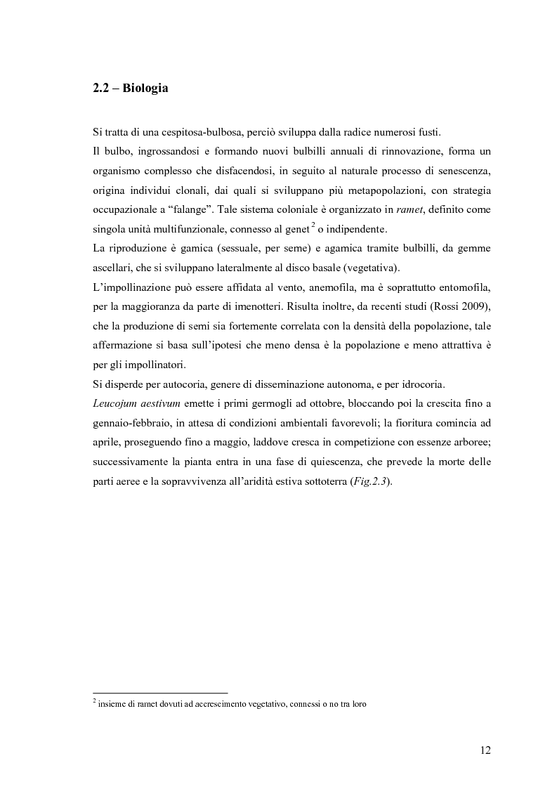 Anteprima della tesi: Dinamica di accrescimento di Leucojum aestivum L. in alcune sorgenti di terrazzo a Pavia, Pagina 12