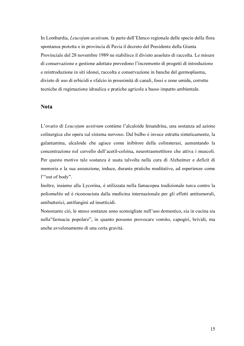 Anteprima della tesi: Dinamica di accrescimento di Leucojum aestivum L. in alcune sorgenti di terrazzo a Pavia, Pagina 15