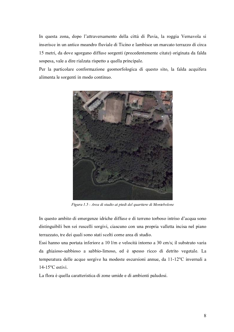 Anteprima della tesi: Dinamica di accrescimento di Leucojum aestivum L. in alcune sorgenti di terrazzo a Pavia, Pagina 8