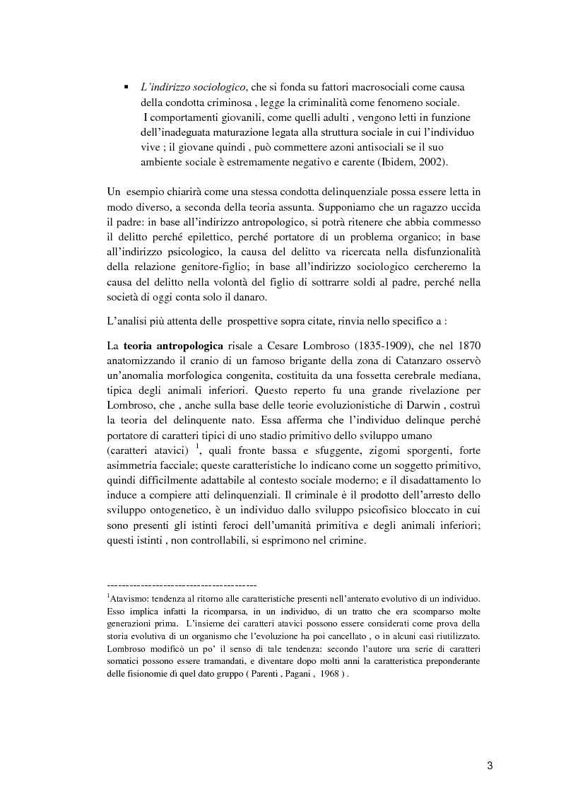 Anteprima della tesi: Il minore dell'area penale e l'inserimento lavorativo nel percorso rieducativo, Pagina 2