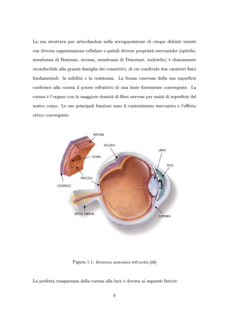 Anteprima della tesi: Un modello numerico per il comportamento meccanico della cornea affetta da cheratocono, Pagina 4