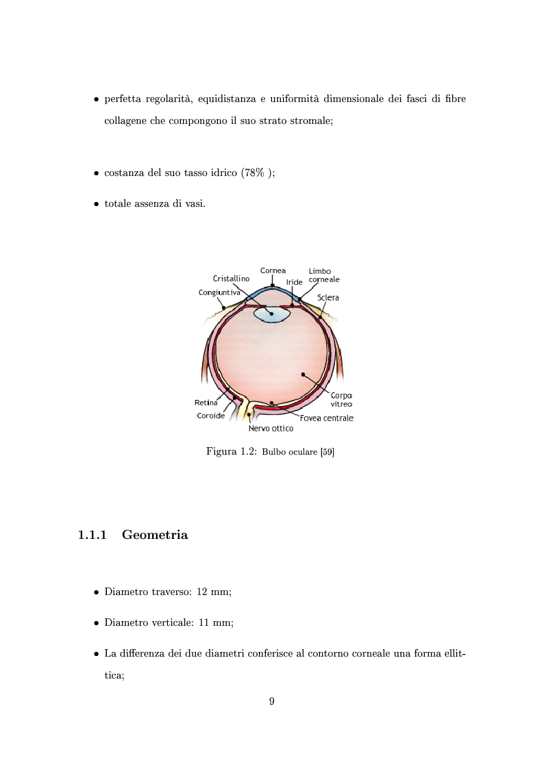 Anteprima della tesi: Un modello numerico per il comportamento meccanico della cornea affetta da cheratocono, Pagina 5