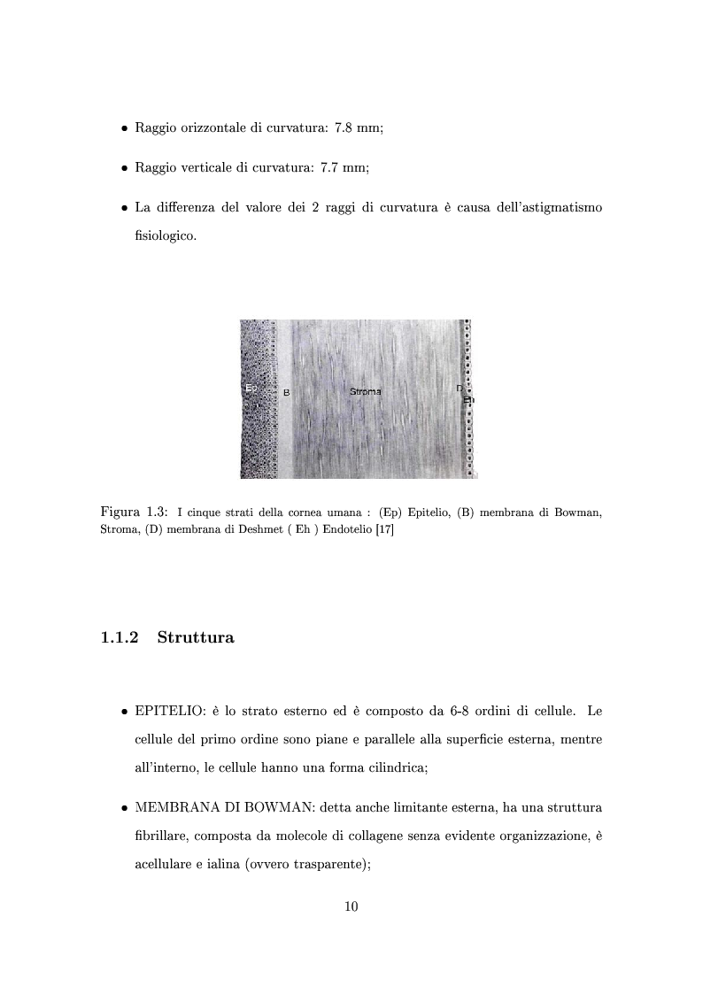 Anteprima della tesi: Un modello numerico per il comportamento meccanico della cornea affetta da cheratocono, Pagina 6
