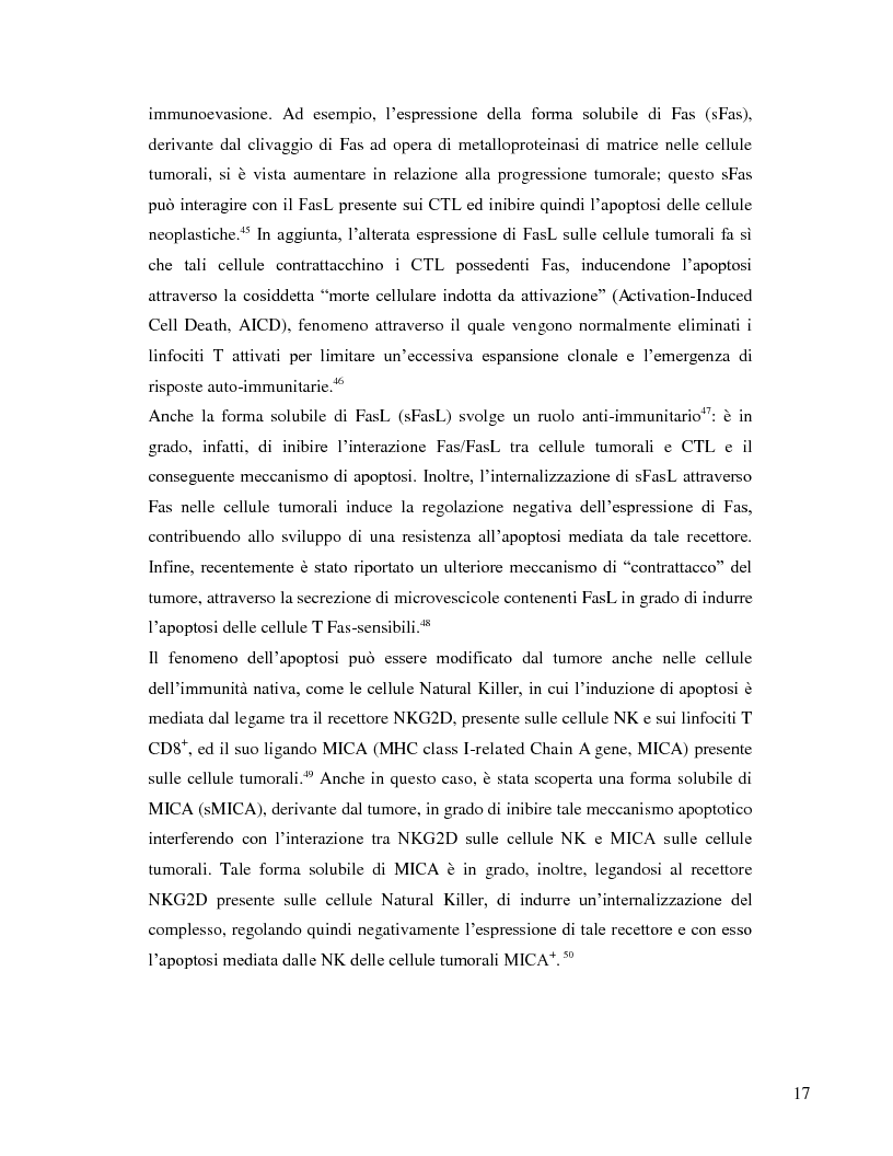 Estratto dalla tesi: L'immunosoppressione tumorale nel carcinoma renale