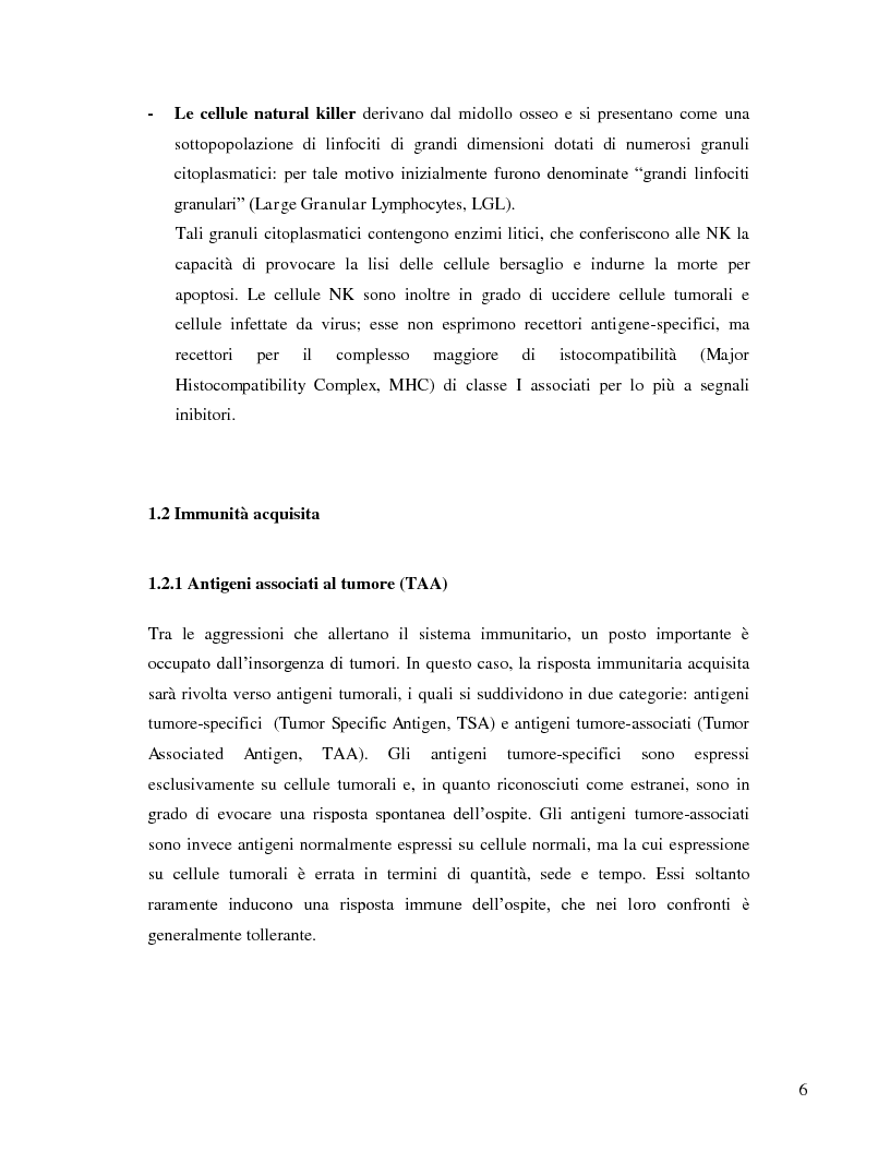 Anteprima della tesi: L'immunosoppressione tumorale nel carcinoma renale, Pagina 3