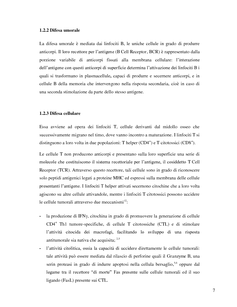 Anteprima della tesi: L'immunosoppressione tumorale nel carcinoma renale, Pagina 4