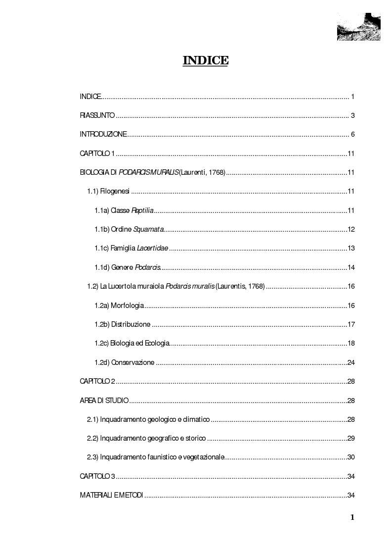 Indice della tesi: Studio della segregazione spaziale in un sauro polimorfico, Pagina 1