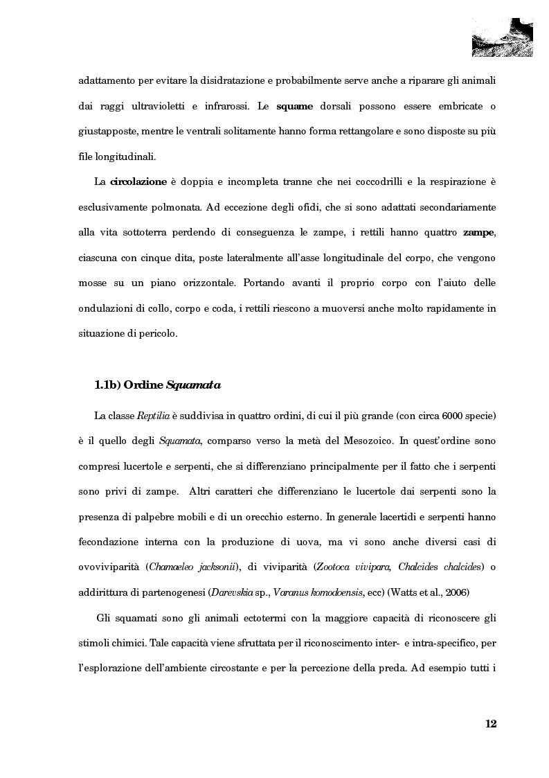 Anteprima della tesi: Studio della segregazione spaziale in un sauro polimorfico, Pagina 3