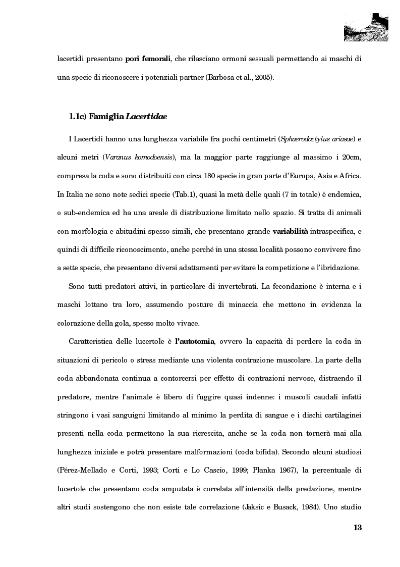Anteprima della tesi: Studio della segregazione spaziale in un sauro polimorfico, Pagina 4