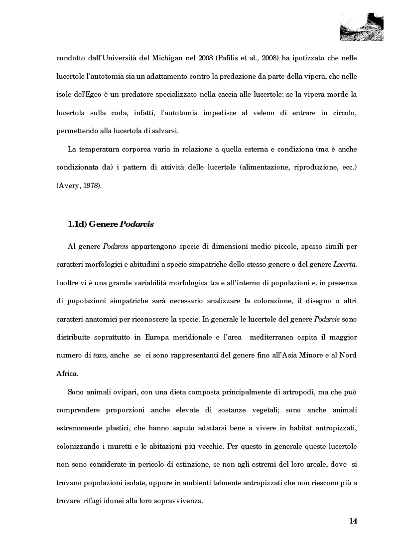 Anteprima della tesi: Studio della segregazione spaziale in un sauro polimorfico, Pagina 5