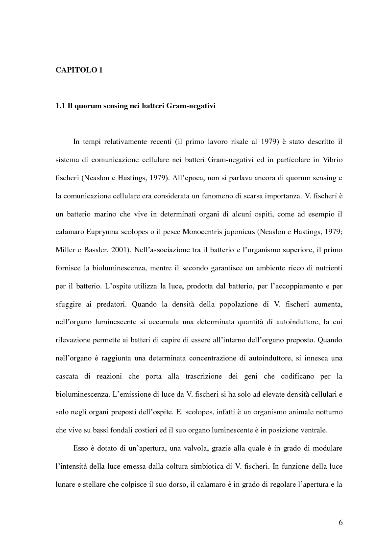Anteprima della tesi: Comunicazione cellulare nei batteri lattici degli alimenti, Pagina 4