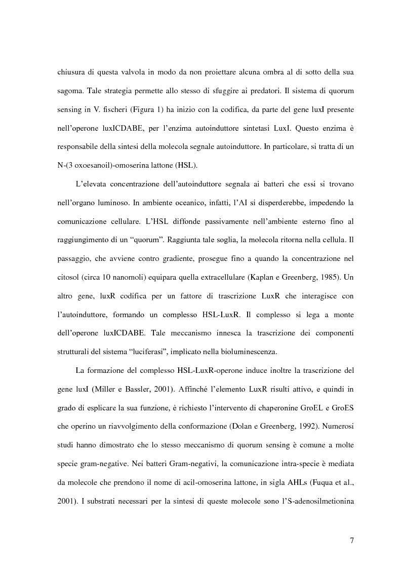 Anteprima della tesi: Comunicazione cellulare nei batteri lattici degli alimenti, Pagina 5