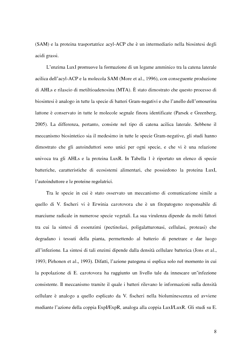Anteprima della tesi: Comunicazione cellulare nei batteri lattici degli alimenti, Pagina 6