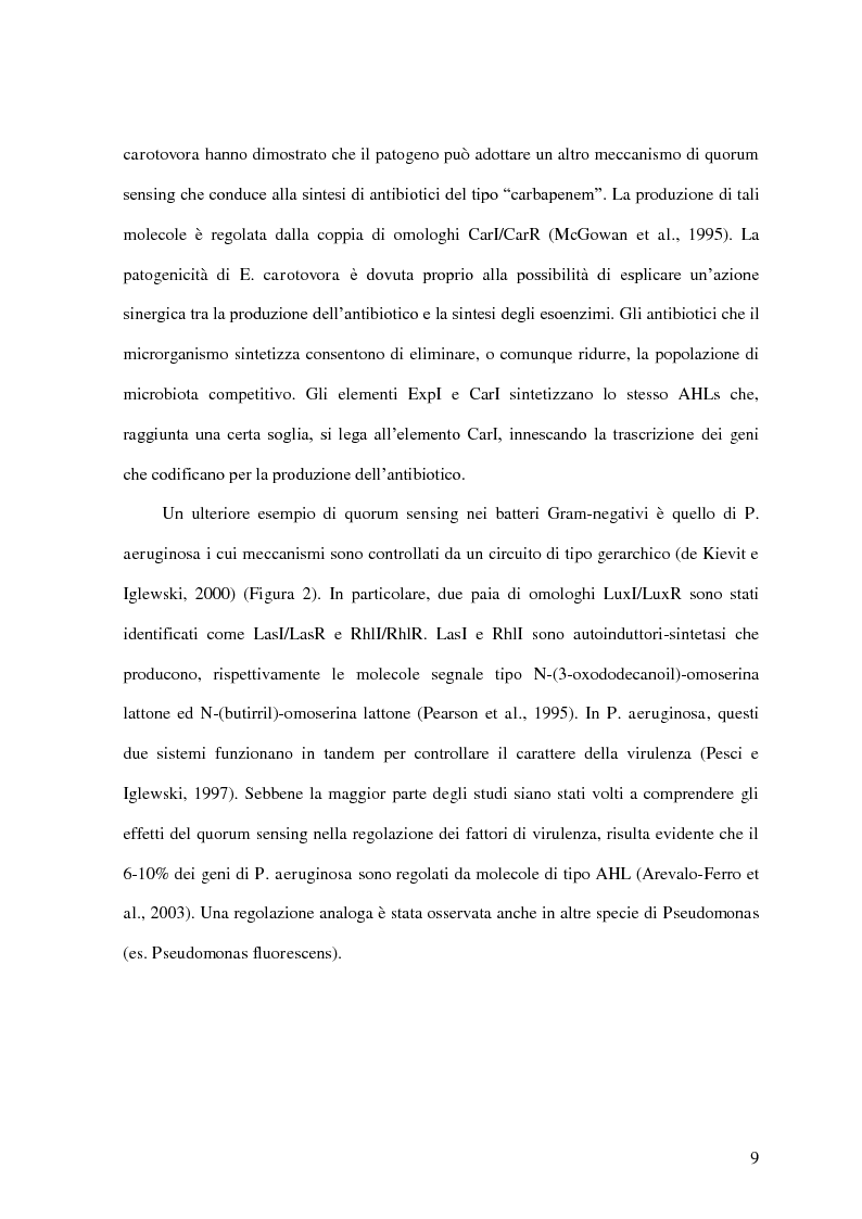 Anteprima della tesi: Comunicazione cellulare nei batteri lattici degli alimenti, Pagina 7