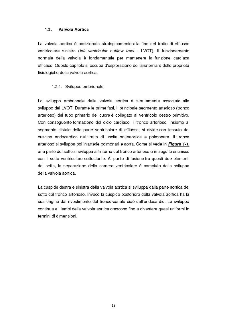 Anteprima della tesi: Nuove frontiere nella chirurgia sostitutiva della valvola aortica, Pagina 5