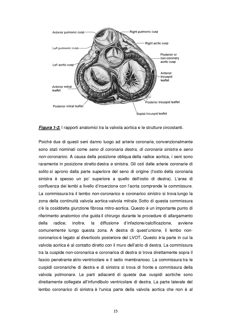Anteprima della tesi: Nuove frontiere nella chirurgia sostitutiva della valvola aortica, Pagina 7