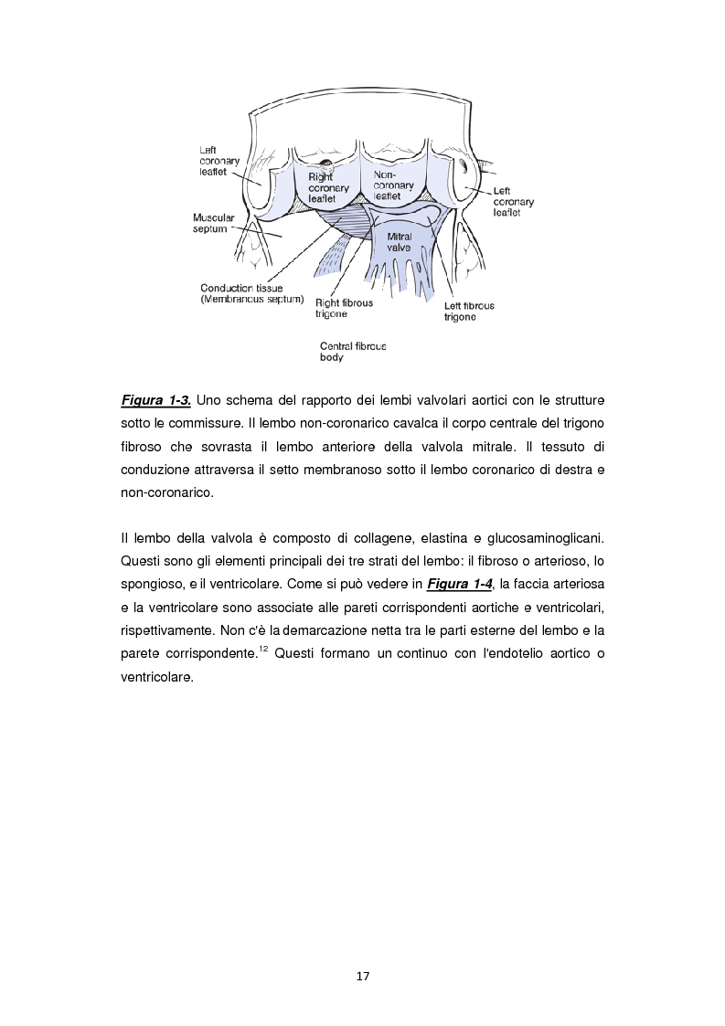Anteprima della tesi: Nuove frontiere nella chirurgia sostitutiva della valvola aortica, Pagina 9