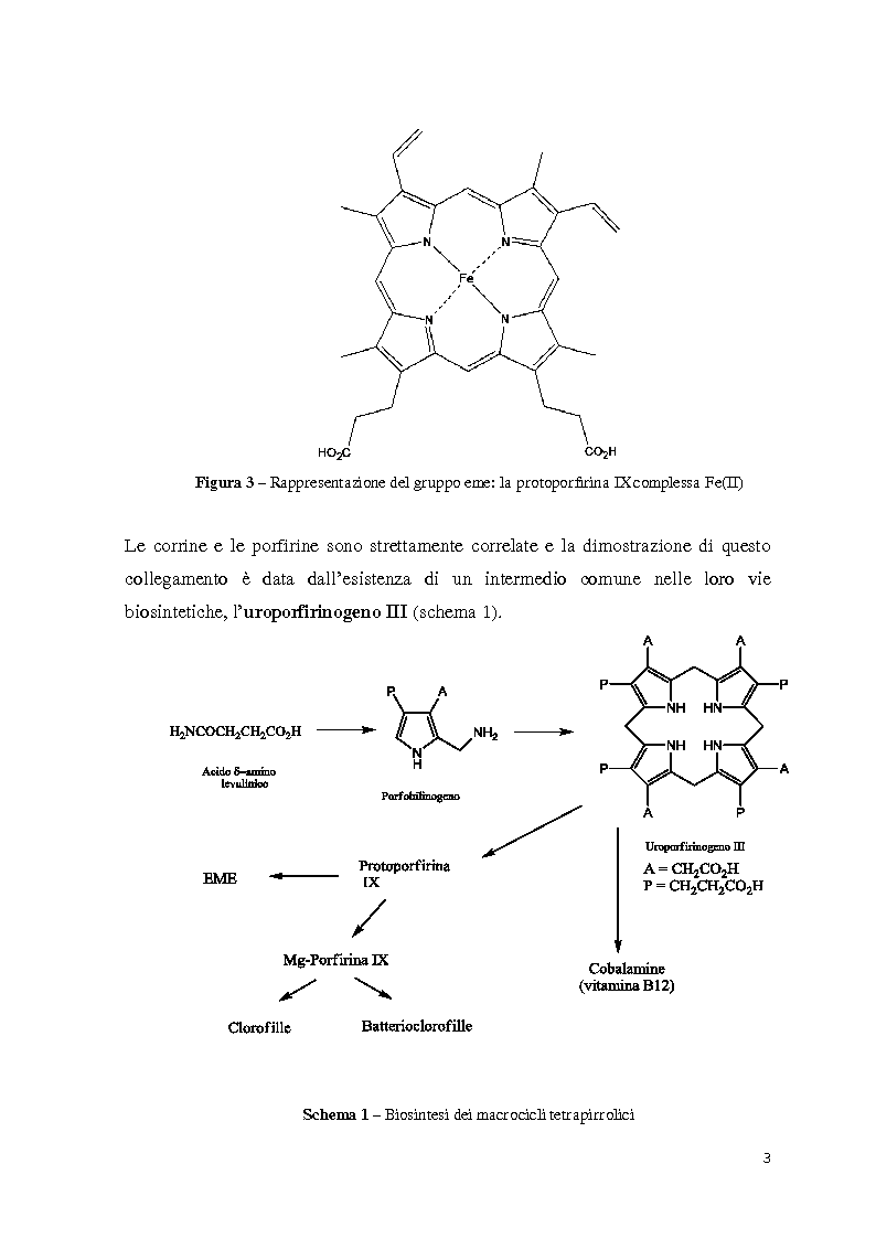 Anteprima della tesi: Reattività di beta-alchil e meso-triaril corroli, Pagina 3