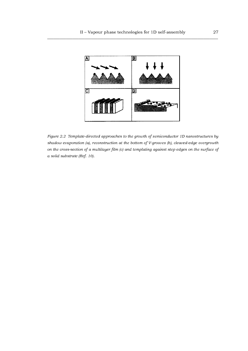 Anteprima della tesi: Au-catalized self-assembly of III-V semiconductor nanowires by metalorganic vapour phase epitaxy, Pagina 5