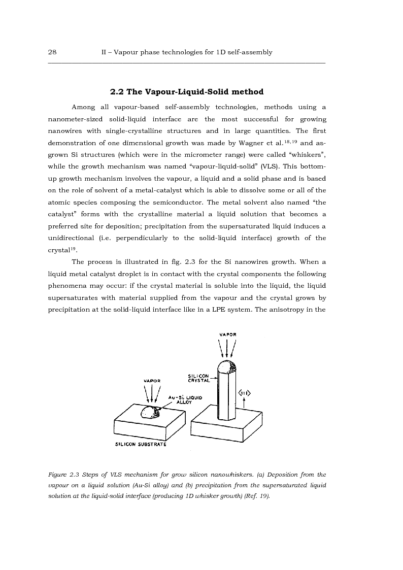 Anteprima della tesi: Au-catalized self-assembly of III-V semiconductor nanowires by metalorganic vapour phase epitaxy, Pagina 6