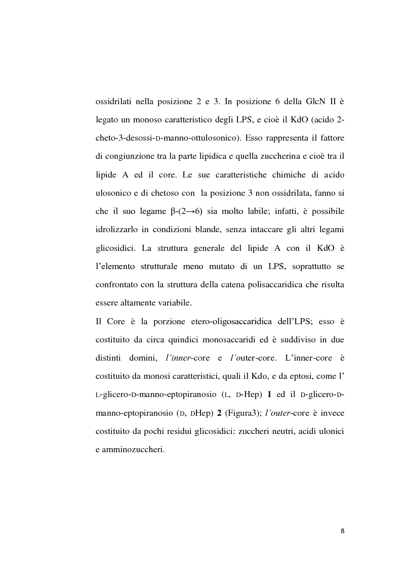 Anteprima della tesi: Sintesi di L-Arabino-eptos-5-ulosi da 5-spirogalattopiranosidi, Pagina 7
