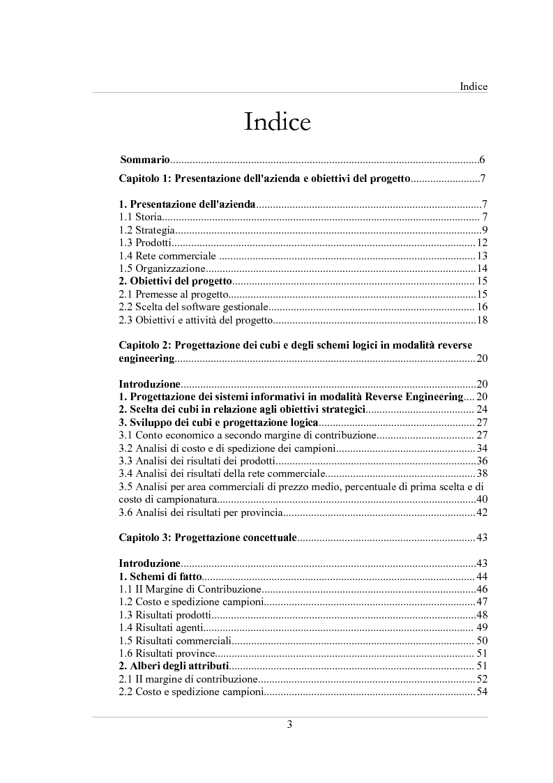 Indice della tesi: Gestione dei dati in un'azienda commerciale ceramica: business intelligence e web marketing, Pagina 1