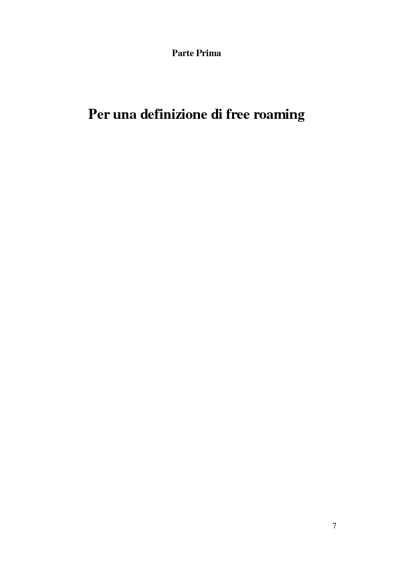 Anteprima della tesi: Libertà virtuali. L'ascesa del free roaming, Pagina 3