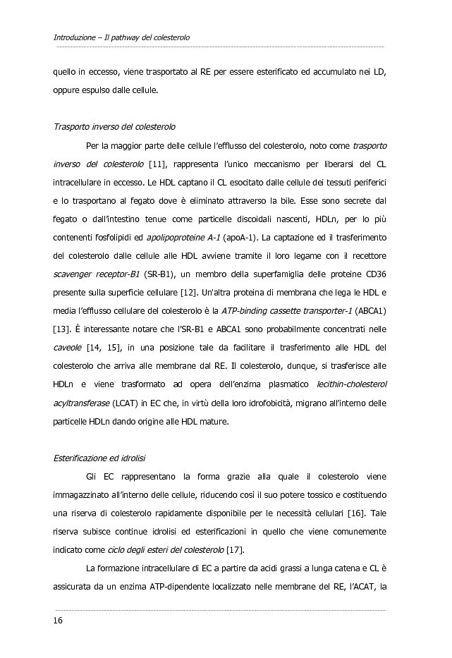 Anteprima della tesi: Dati preliminari sulle alterazioni del colesterolo intracellulare nella malattia Alzheimer mediante metodi di imaging, Pagina 8