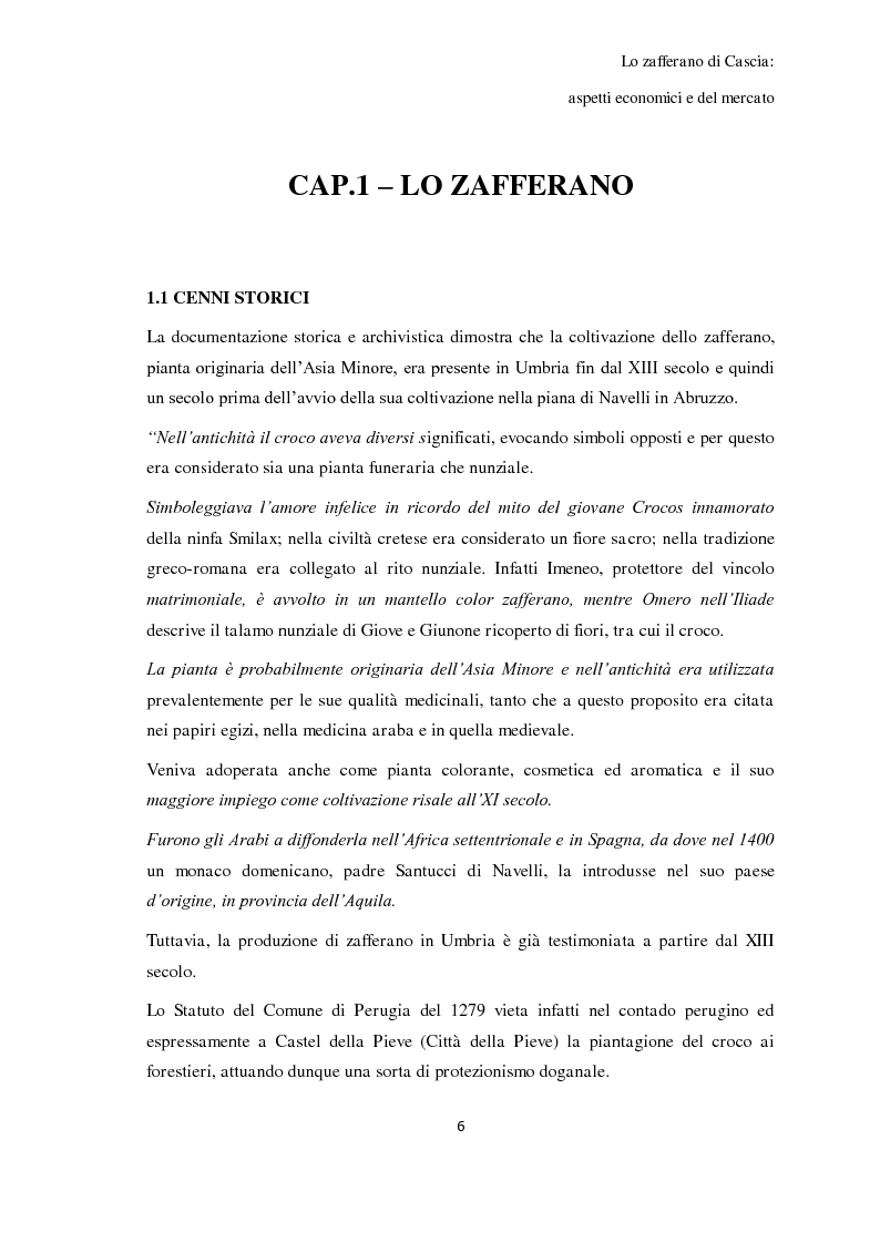 Anteprima della tesi: Lo zafferano di Cascia: aspetti economici e del mercato, Pagina 2