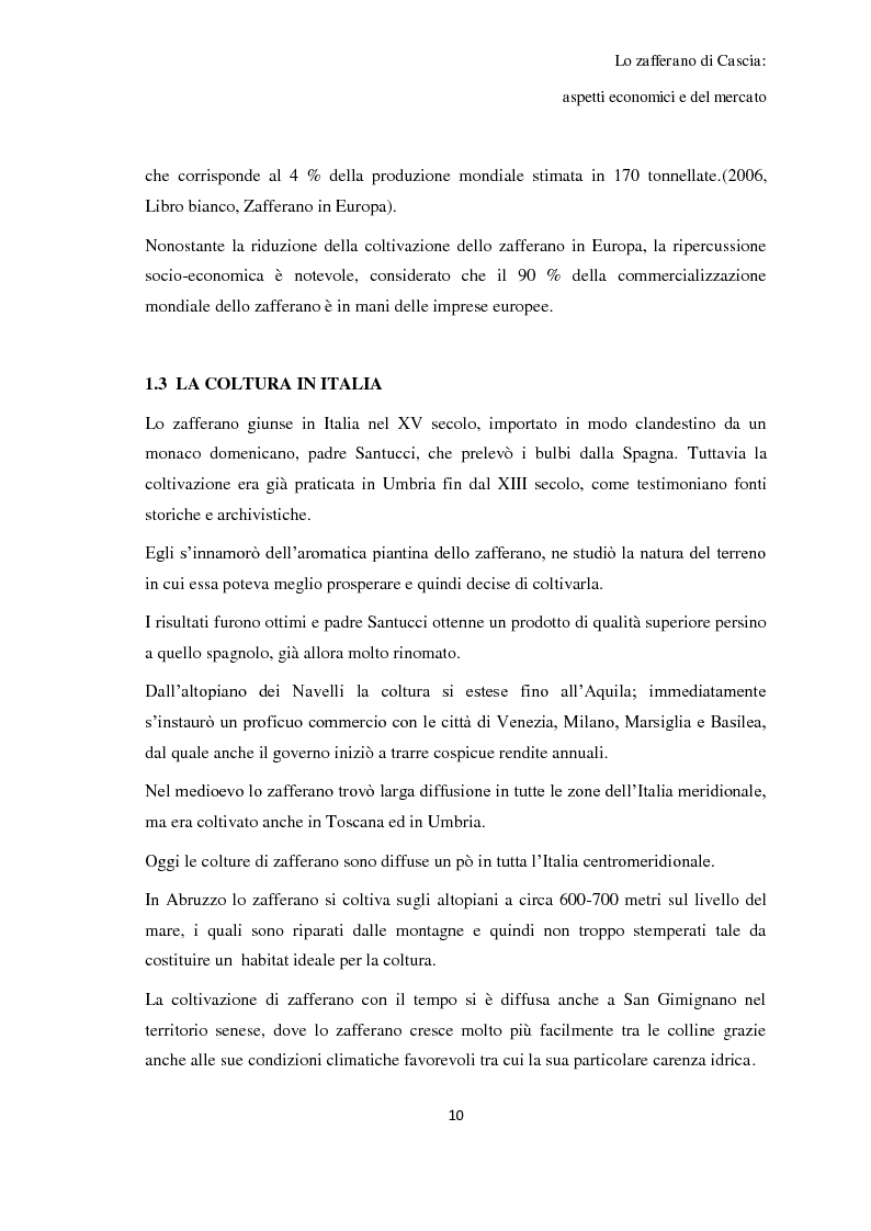 Anteprima della tesi: Lo zafferano di Cascia: aspetti economici e del mercato, Pagina 6