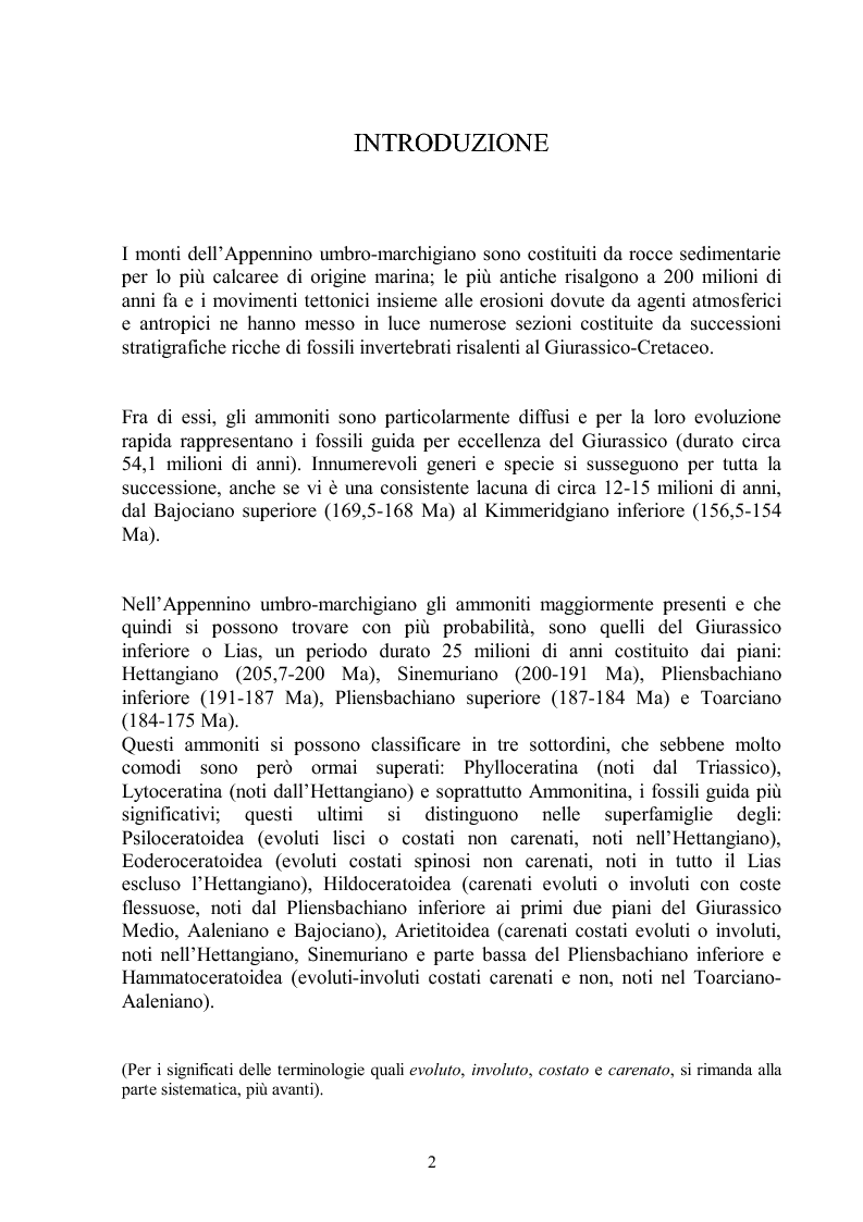 Anteprima della tesi: Gli ammoniti (Mollusca Cephalopoda) dell'appennino umbro-marchigiano della Collezione Bonucci, Pagina 2