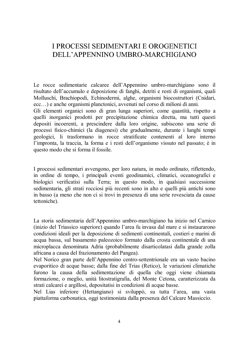 Anteprima della tesi: Gli ammoniti (Mollusca Cephalopoda) dell'appennino umbro-marchigiano della Collezione Bonucci, Pagina 4