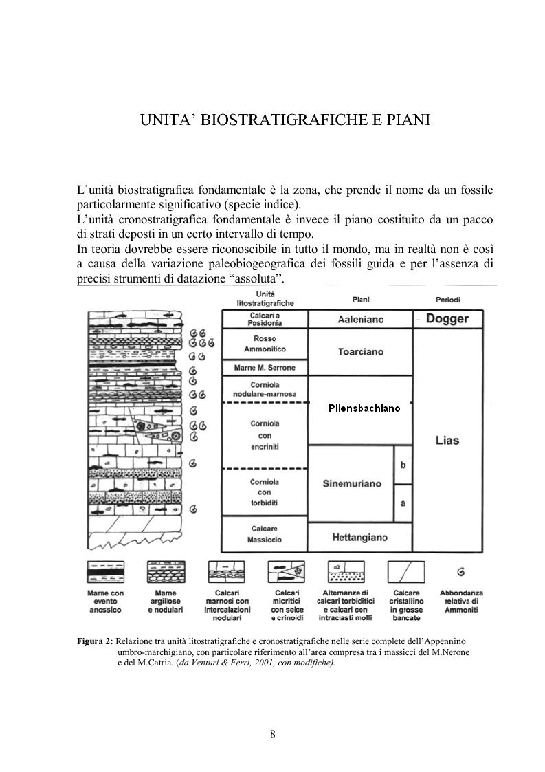 Anteprima della tesi: Gli ammoniti (Mollusca Cephalopoda) dell'appennino umbro-marchigiano della Collezione Bonucci, Pagina 8