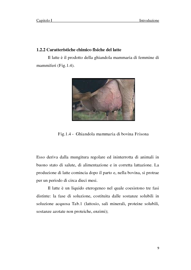 Anteprima della tesi: Proteolisi nel latte e nei suoi derivati, Pagina 9