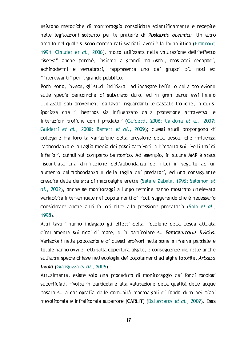 Anteprima della tesi: Il monitoraggio dell'Area Marina Protetta ''Isola di Bergeggi'': Point Intercept Transect e Quadrati visuali a confronto, Pagina 13