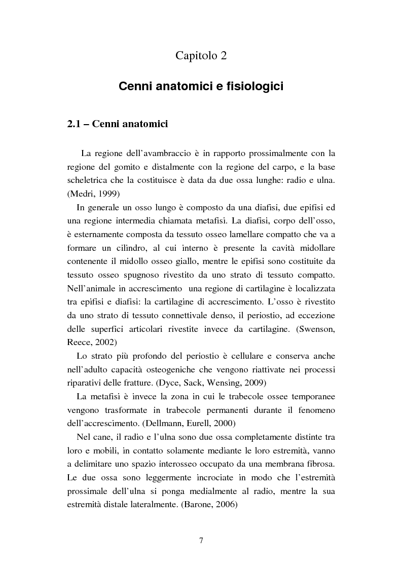 Anteprima della tesi: Aggiornamenti sulle deviazioni angolari dell'arto anteriore del cane, Pagina 3