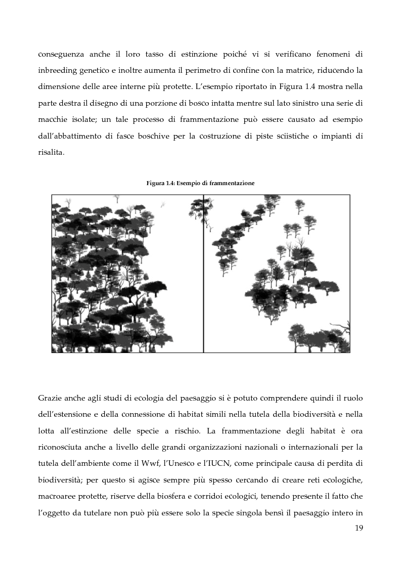 Anteprima della tesi: Aree protette: paesaggio e cogestione. Un'indagine in Burkina Faso., Pagina 15